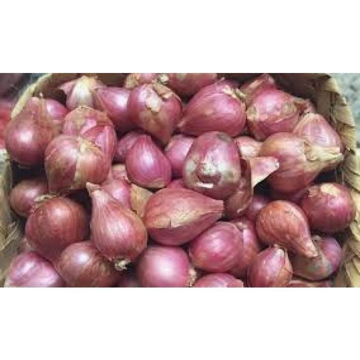 

Bawang Merah Super Besar 250Gr Berkwalitas Kering Dari Petani Lokal Nganjuk Charlotte