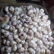 

Bawang Merah Besar Sedang 1/2 Kg Bawang Putih Sinco 1/2 Kg Bonus Cabe Rawit 150Gr Sulli