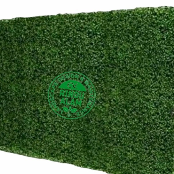 Daun Dolar Bunga Artificial Daun Rambat Dolar Sint