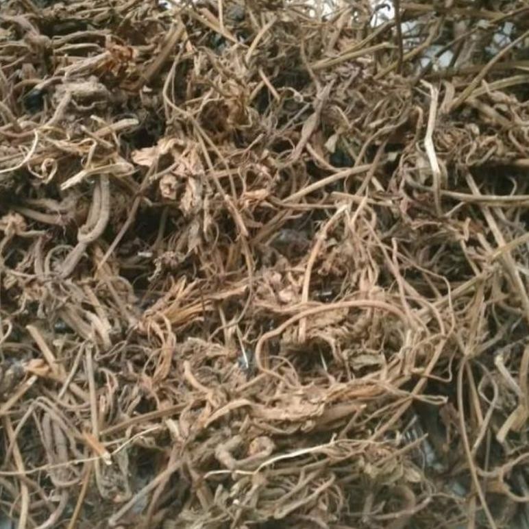 

SERBUK BUBUK AKAR PURWOCENG PURWACENG MURNI ISI 500 GRAM RO44