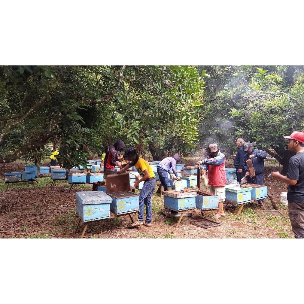 

(COD) Madu Asli + Propolis 0.4 kg (High Quality Honey and Propolis) KS