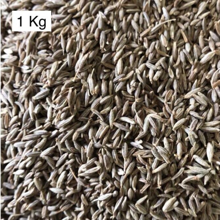 

BN Jintan Putih / Jintan India / Cumin Seed 1Kgi TERLARIS