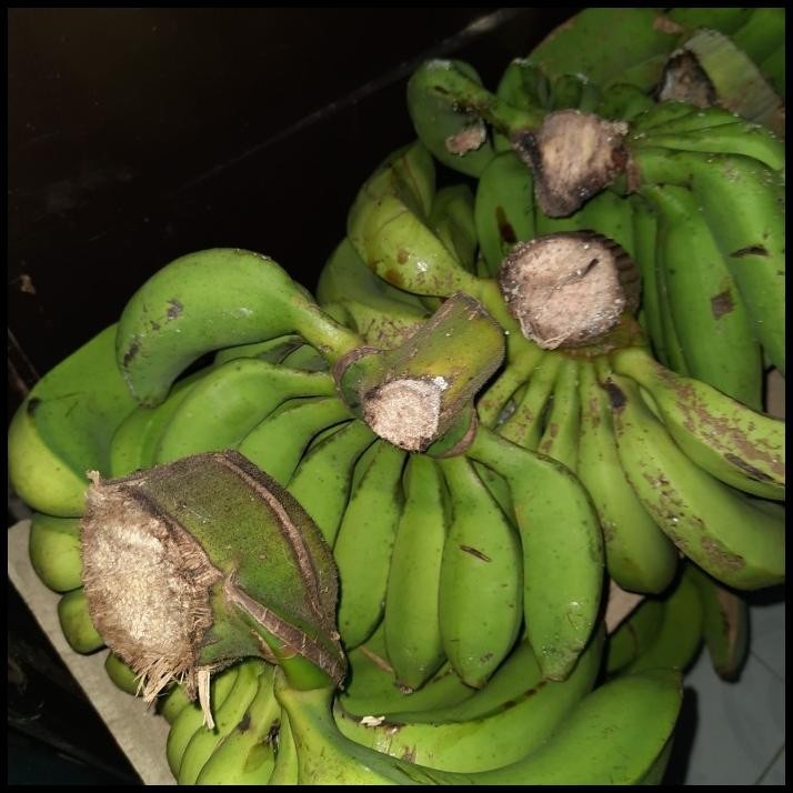 

TERMURAH PISANG AMBON 2KG !!