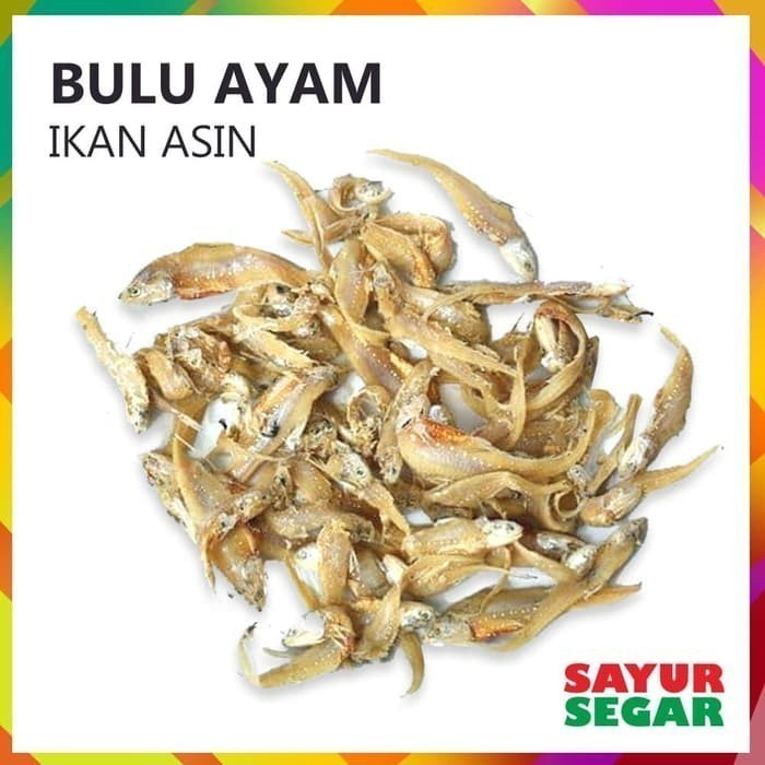 

Ikan Asin Bulu Ayam 100G