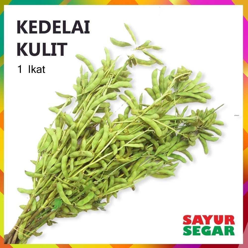 

Kacang Kedelai Kulit 1Ikat Fresh