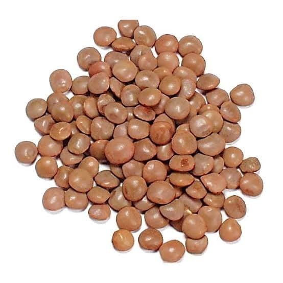 

Adlian Brown Lentil 250Gram / Lentil Coklat 250Gram