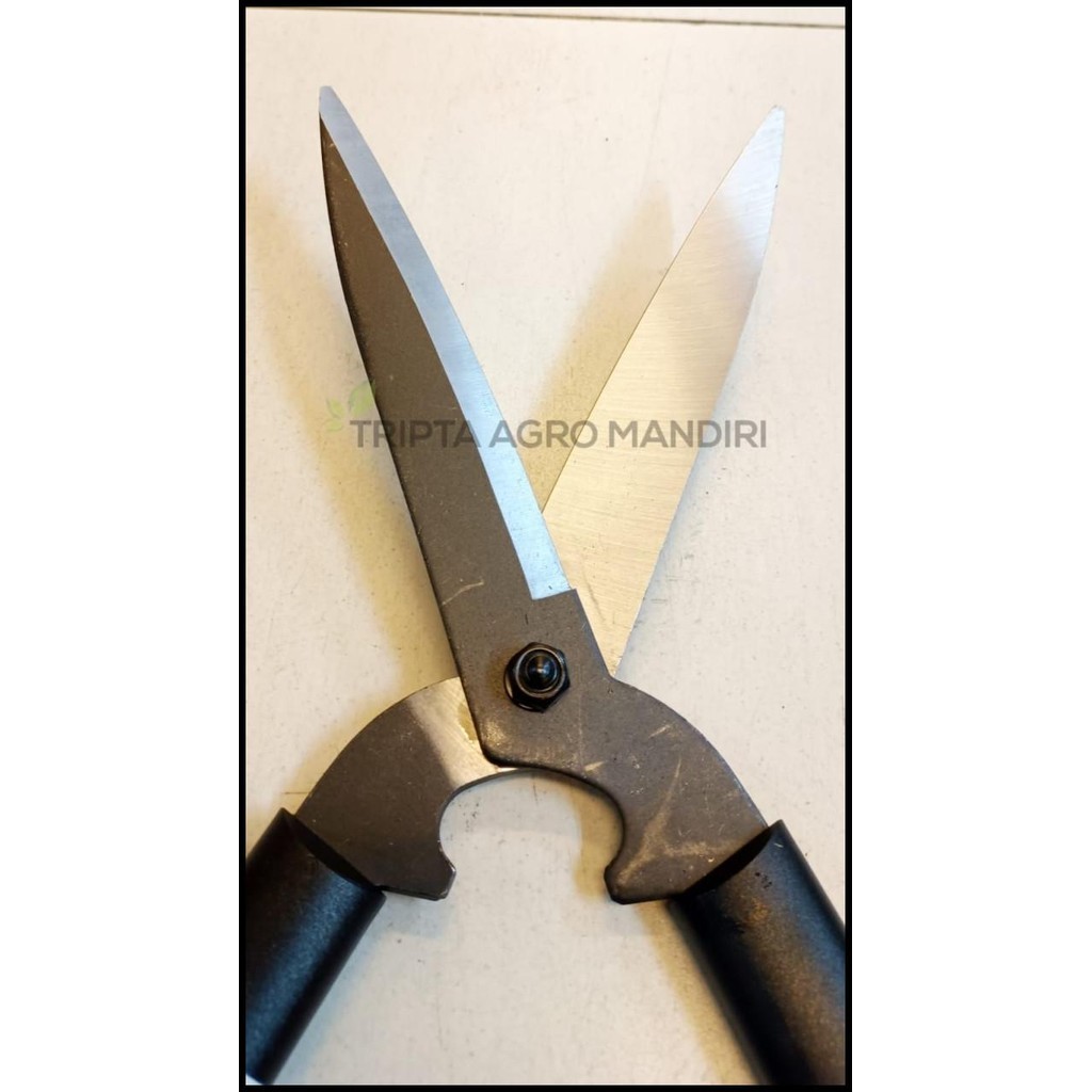 GUNTING RUMPUT TANAMAN ALISAN 50 CM