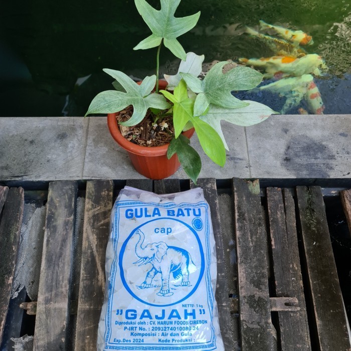 

Gula Batu Kristal Potongan Kecil Cap Gajah Berat Bersih 5Kg - Adelineez