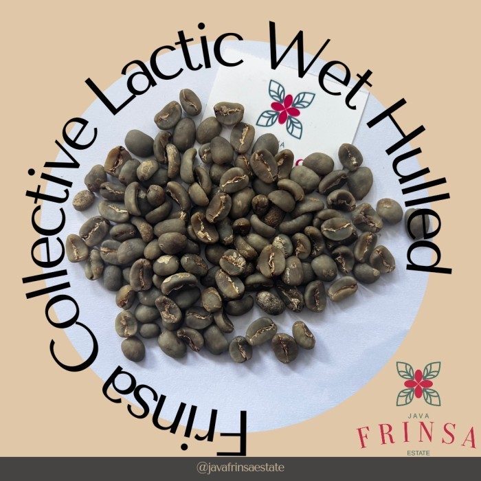 

Greenbean Arabika Frinsa Collective Lactic Wet Hulled