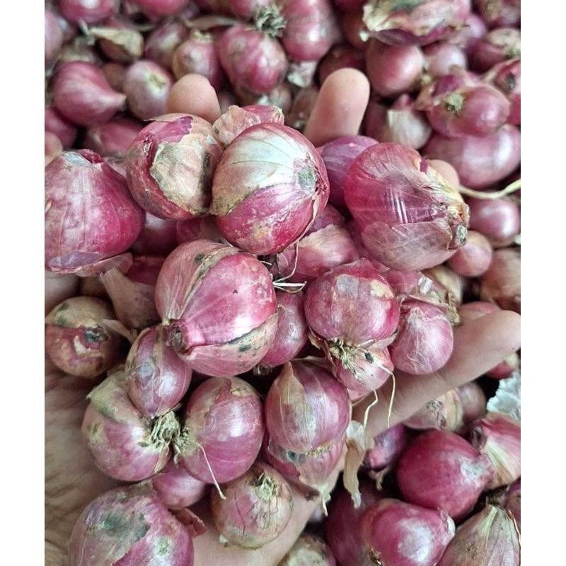 

Bawang merah 1 kg 1000 gram Brambang Fresh Super Besar Berkualitas