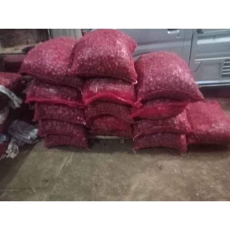 

BAWANG MERAH GARUT SUPER BM LOKAL 1KG Super Besar Berkualitas