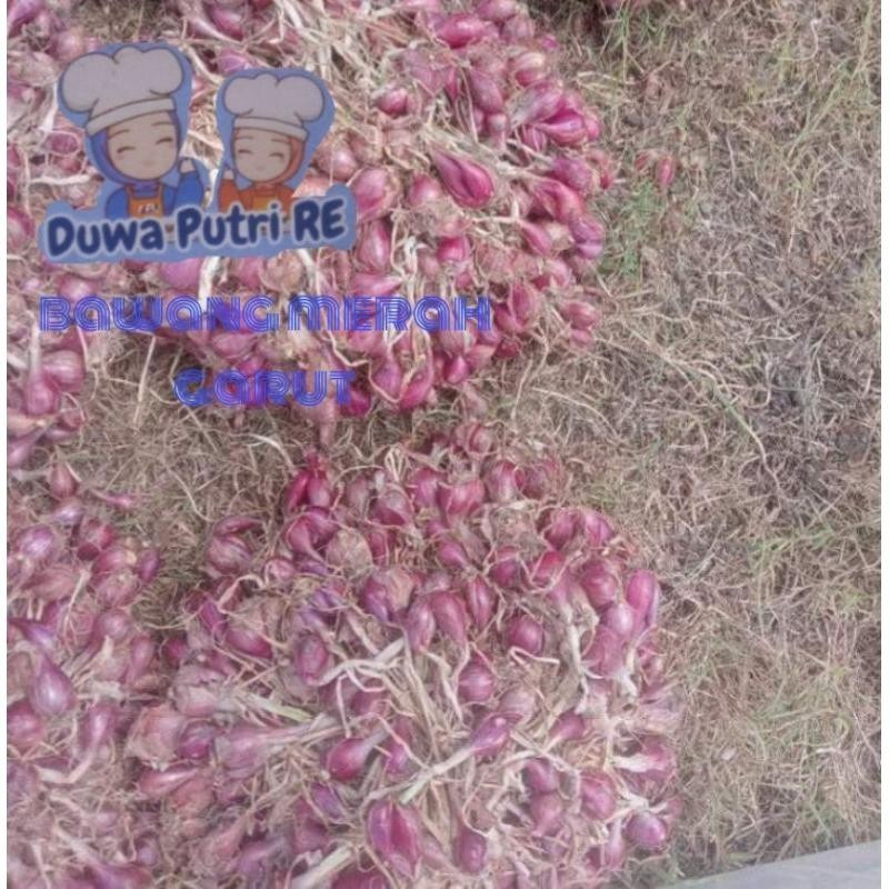 

bawang merah 1kg bm garut Super Besar Berkualitas