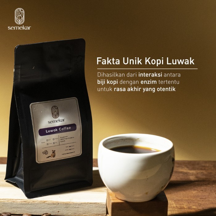 

Ready Kopi Luwak Liar Arabica Aceh Gayo Coffee Asli 100 gram fresh Semekar