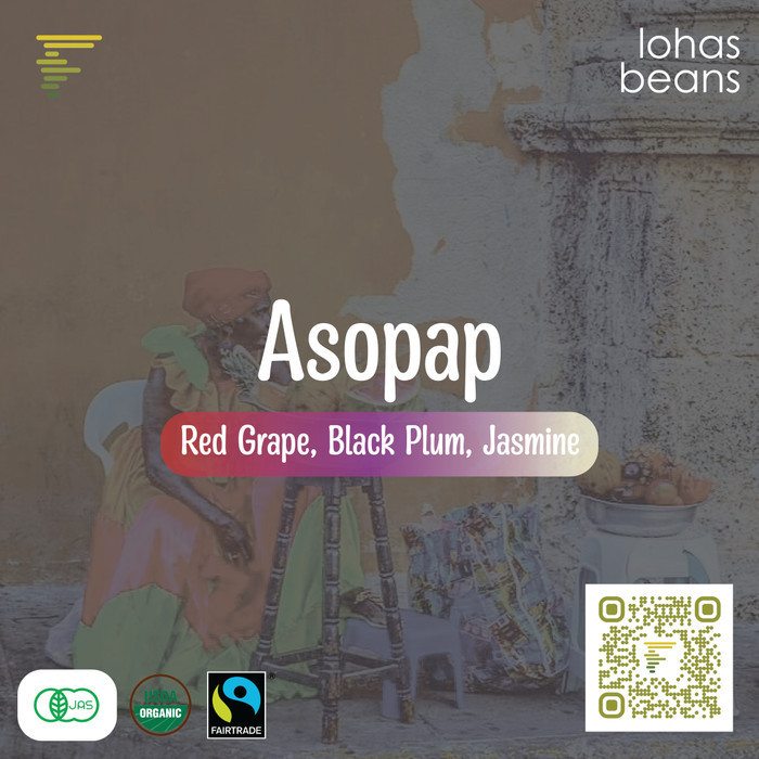 

Ready Biji Kopi Arabica Colombia, TOLIMA ASOPAP (Mix Var, Washed)