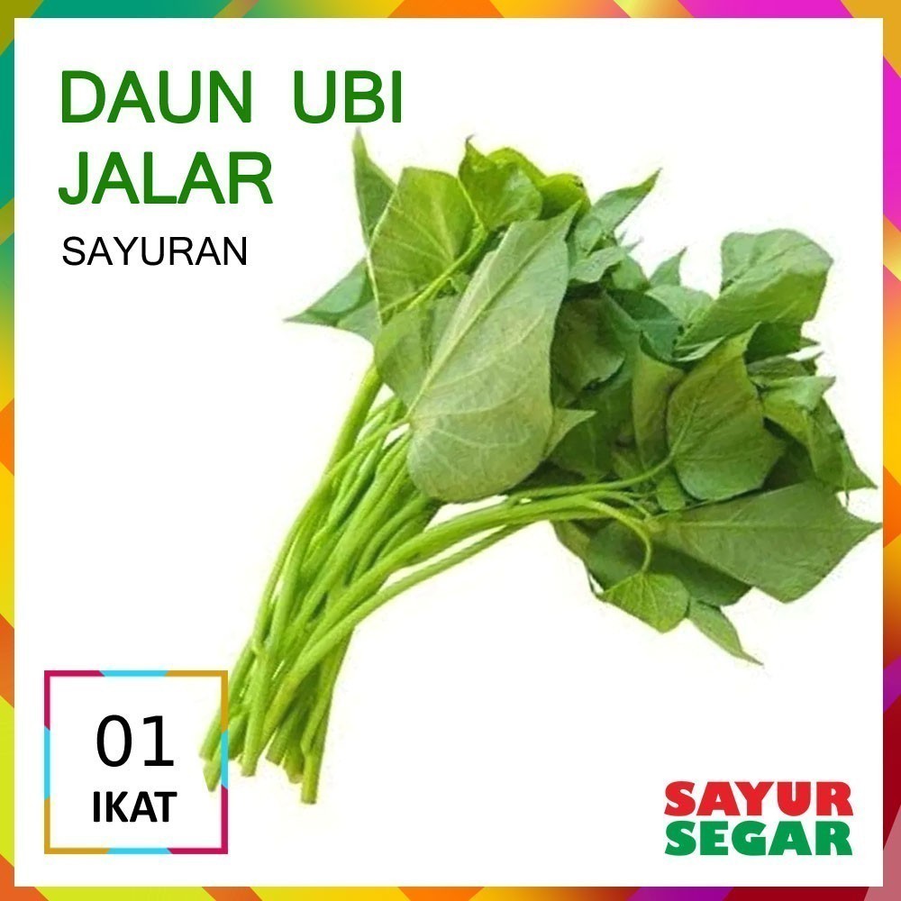 

Daun Ubi Jalar 1 Ikat Fresh