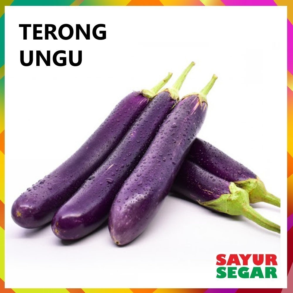 

Terong Ungu 500G Fresh