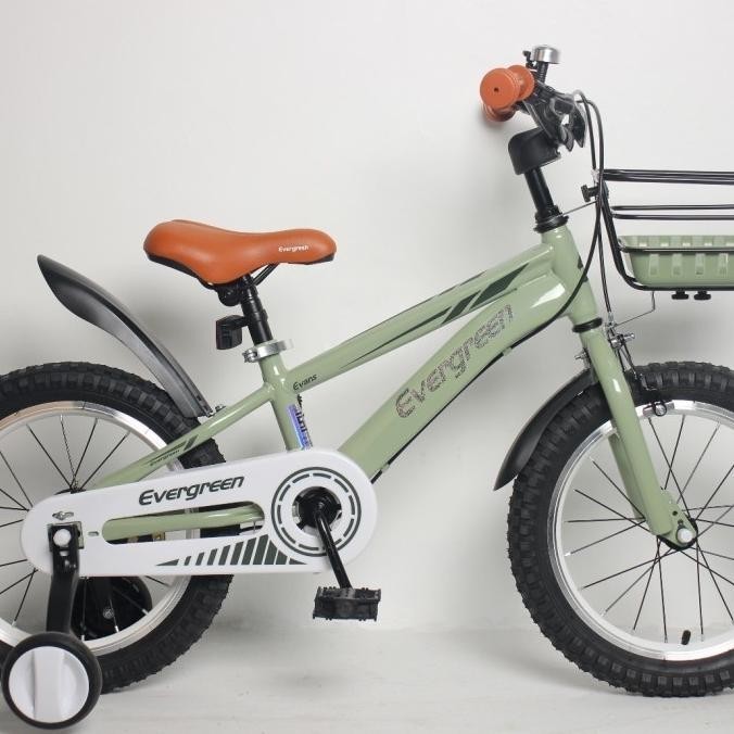 Sepeda Anak Evergreen Evans D-23 Keranjang Velg Alloy Aksesoris Sepeda
