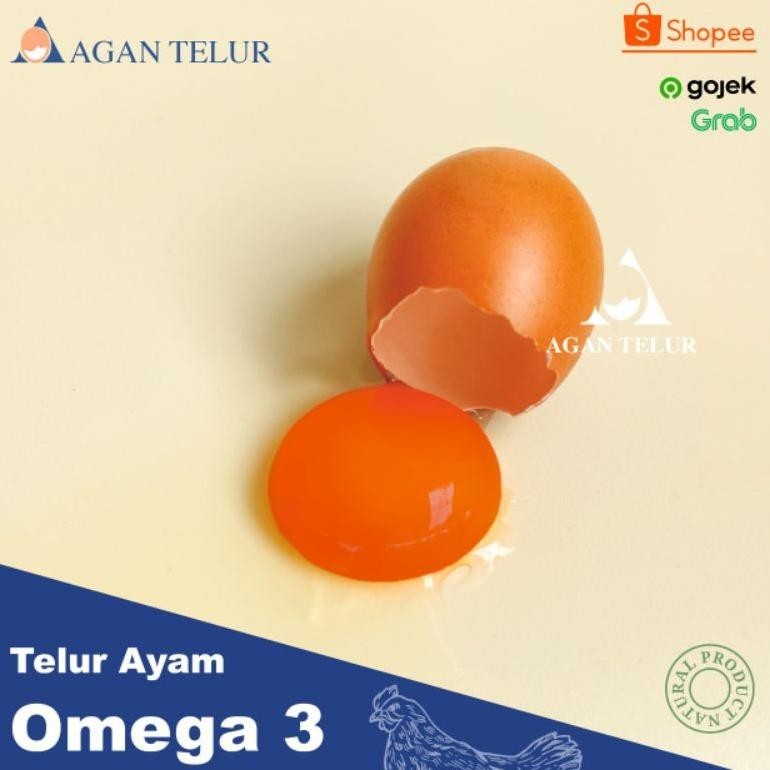 

Mega Sale Telur Negeri Omega 3 orange Fresh per kg (15 - 16 btr) Termurah