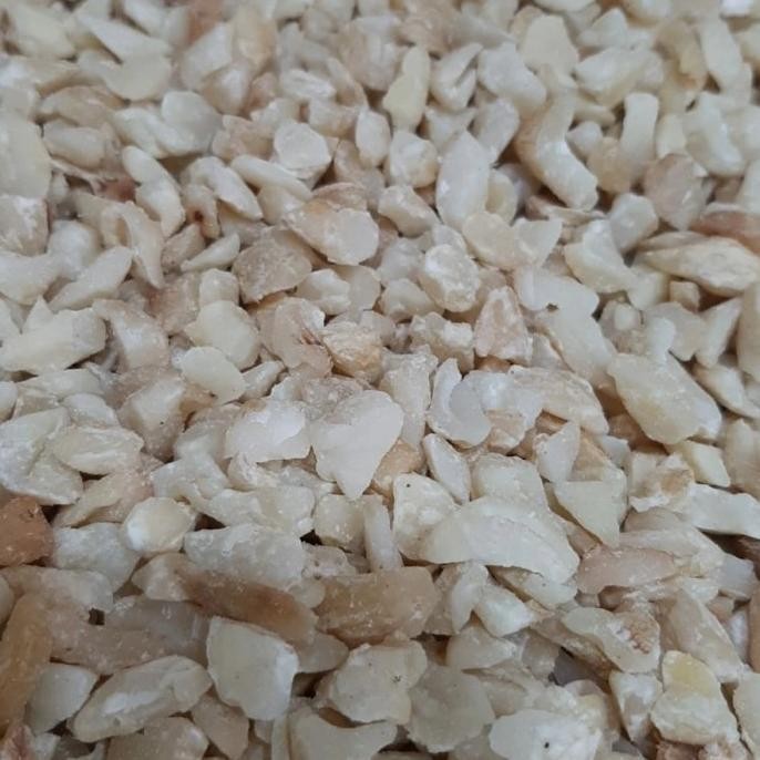 

BIG SALE KEMIRI MENIR SUPER 1KG !!!!!