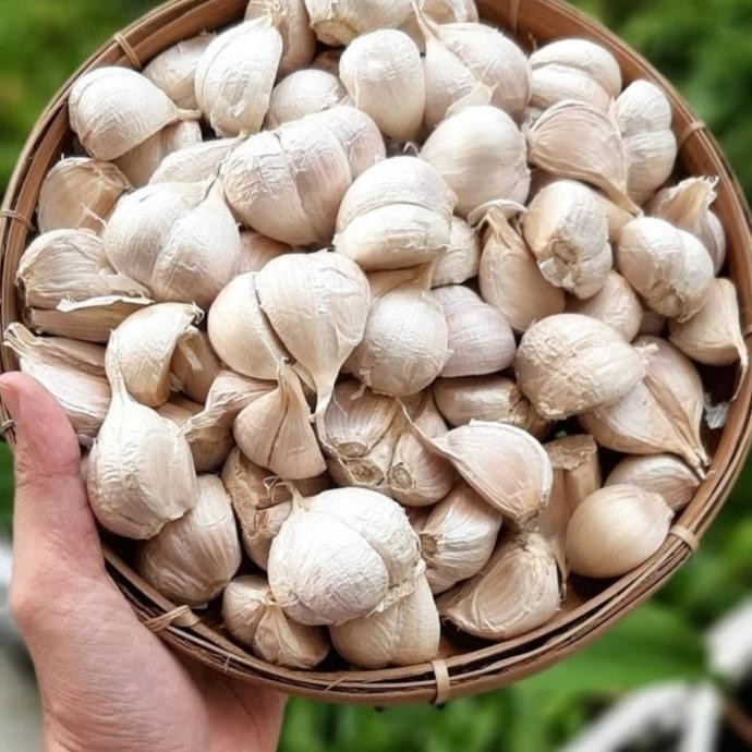 

READY STOCK BAWANG PUTIH KATING BERSIH 1KG FRESH !!!!!