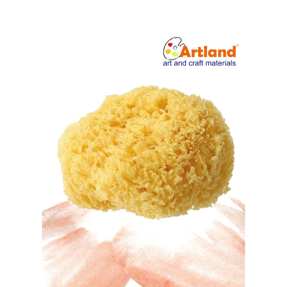 

SEA SPONGE COARSE 4.5- 5IN C455