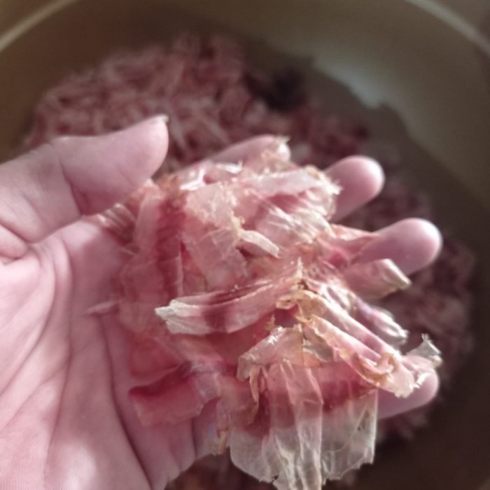 

katsuobushi / ikan kayu / cakalang serut / dried bonito