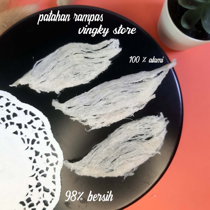 

Sarang Burung Walet / D Nest Patahan 1 Keping Ala