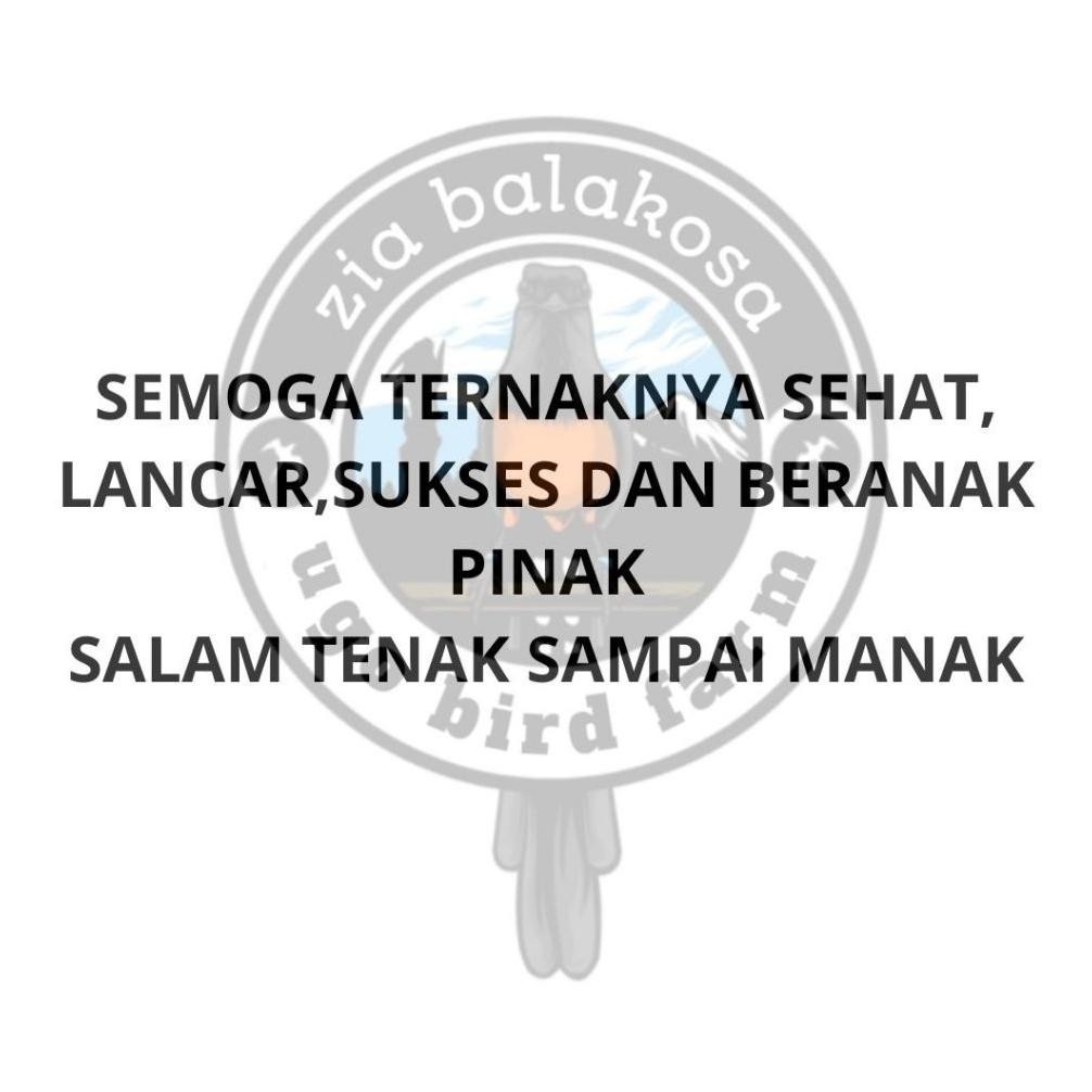 Sale Suplemen Burung Vitamin Nutrisi Reproduksi Organik Untuk Burung Murai Koci Kenari Cucak Rowo Nr