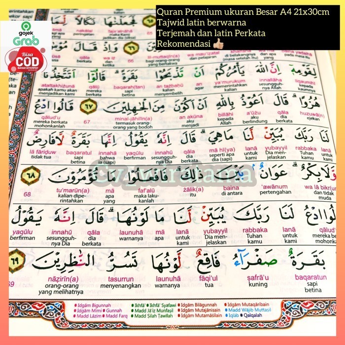 

Al Quran Besar A4 Terjemah Latin PerKata tajwid Warna Cocok Pemula