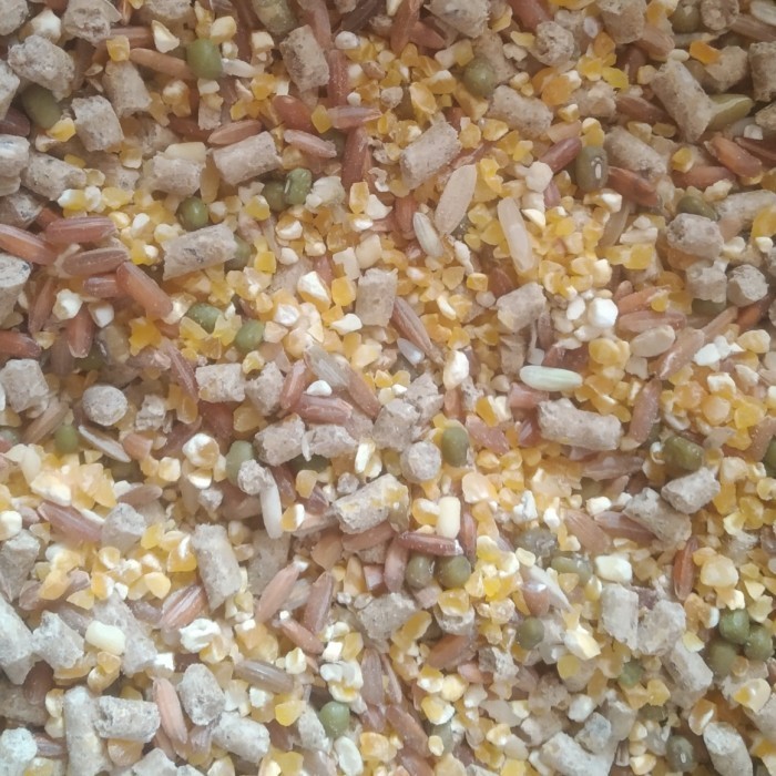 Pakan Harian Ayam Poland/Makanan Harian Ayam Hias Poland Jambul