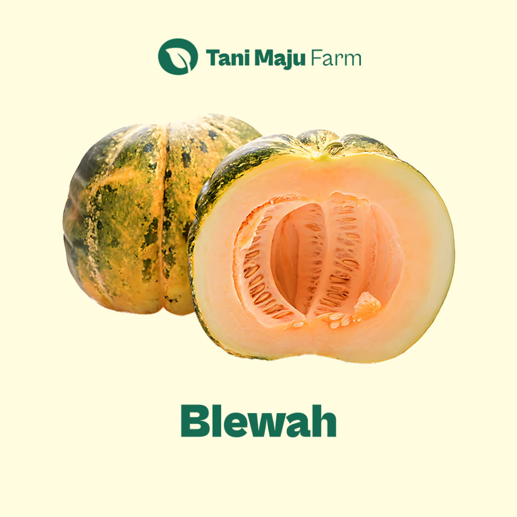 

Blewah Muskmelon Fresh (1 pcs) - Buah