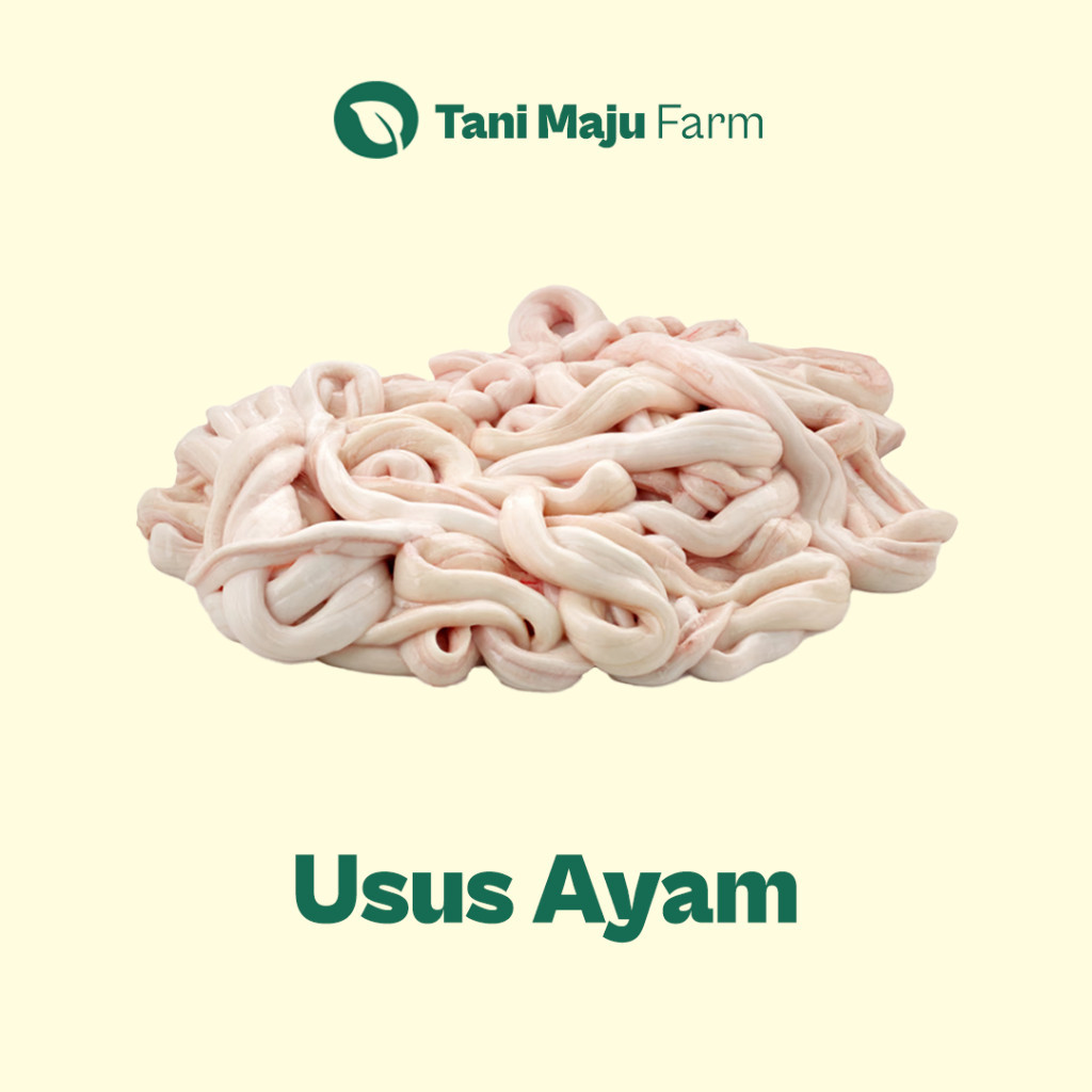 

Usus Ayam Fresh (250 Gram) - INSTANT / SAMEDAY - Unggas & Telur