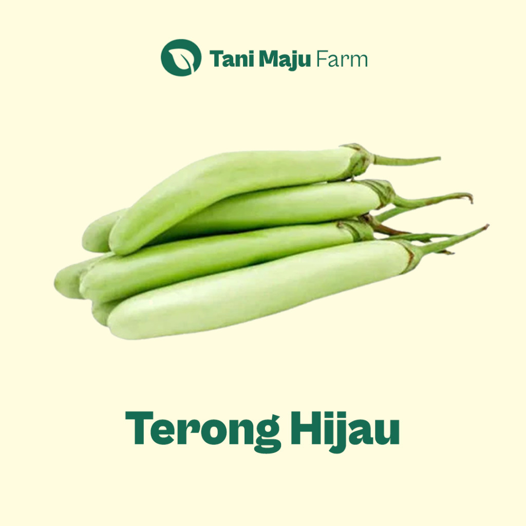 

Terong Hijau Eggplant Fresh Organik (500 gram) - Sayuran
