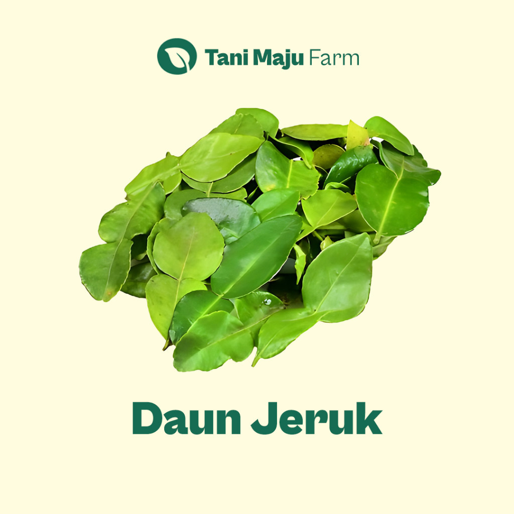

Daun Jeruk Fresh Organik (10 Pcs) - Rempah