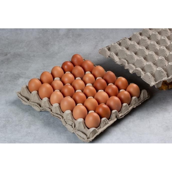 

Telur Ayam Negeri Fresh Dari Kandang 5Kg Linda.Mallstore