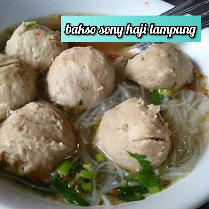 

Bakso Super Sony Haji Lampung Isi +- 50Pcs+Bumbu Untuk Kuah Revi Staroutlet