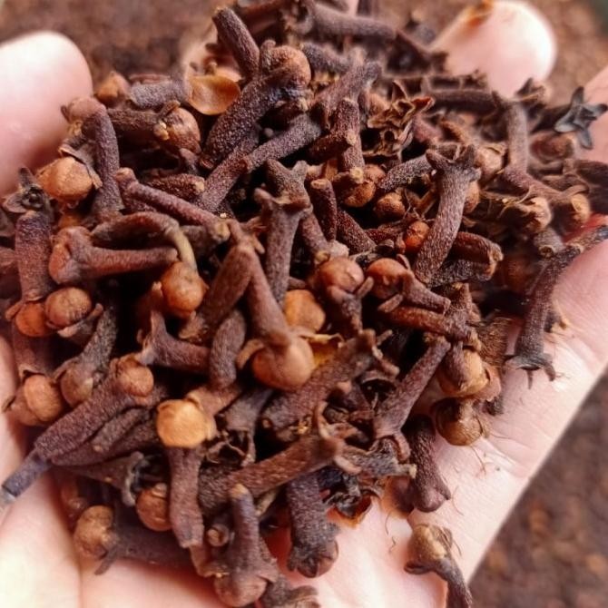 

Cengkeh Premium 1 Kg Kilo Clove Whole Bunga Cengkih Kering Dan Fresh Gemita.Shopstore