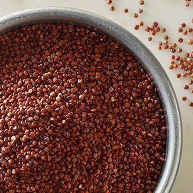 

Terlaris Organic Red Quinoa 500gram / Quinoa Merah Organic 500gram SALE