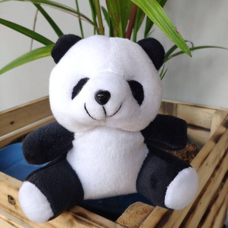 Boneka Anak // Boneka Mini Panda Mini / Panda Kecil / Panda Polos / Boneka Beruang Untuk Buket Bunga