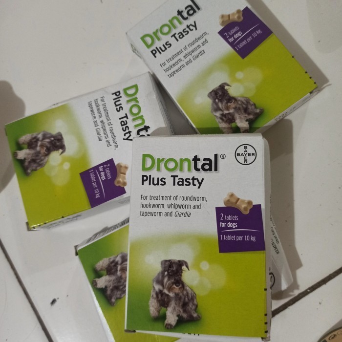 Drontal Dog Plus Tasty/Drontal Dog/Obat Cacing Anjing 1 Box Isi 2 Tube