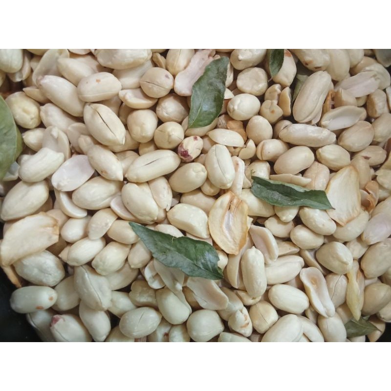 

kacang bawang daun kari panggang 0.5 kg