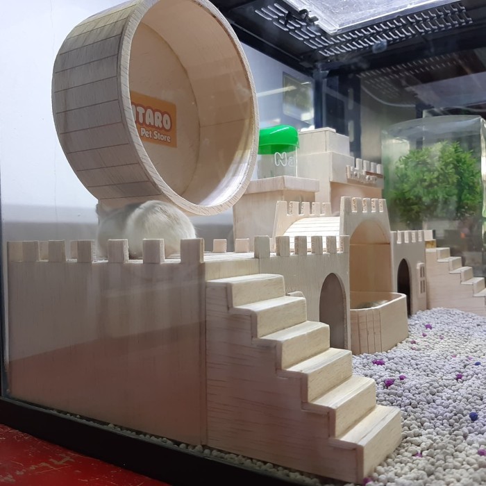 TERARIUM kandang hamster Besar dan Lucu mewah dan fullset