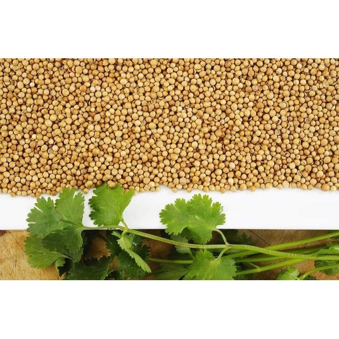 

SMT CANDER SEED 100G