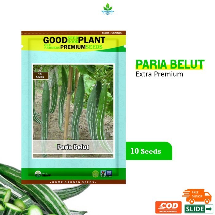 SALE EXTRA PREMIUM - 10 BIJI BENIH BIBIT PARIA PARE BELUT PANJANG F1