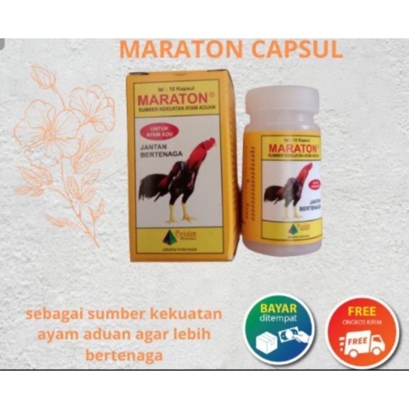 maraton vitamin mineral tonikum doping ayam tarung 10capsul asli ori Lampam ID