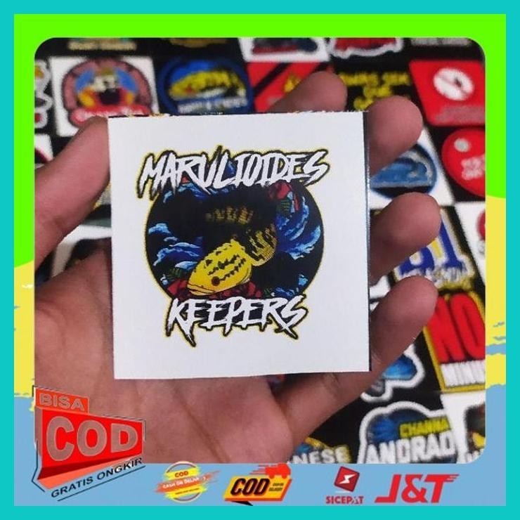 

50PCS STIKER IKAN CHANA DISAINT KOTAK BARUU TERMURAH!!! ALISUP