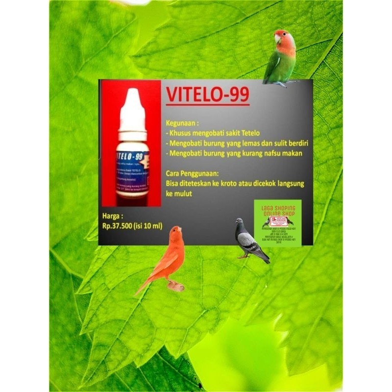 VITELO-99  obat tetelo celeng lumpuh mangap obat saraf burung murai kacer
