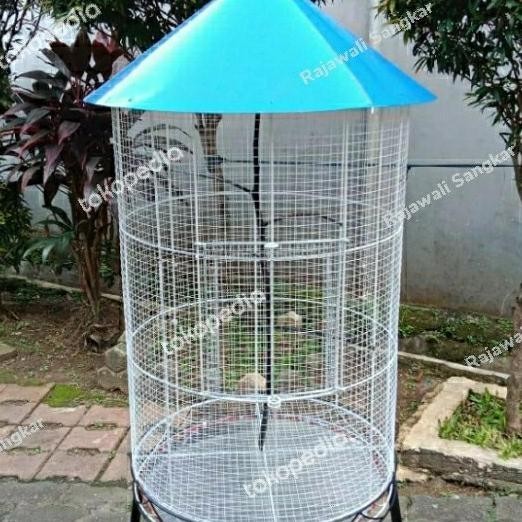 Kandang Ternak Koloni Burung