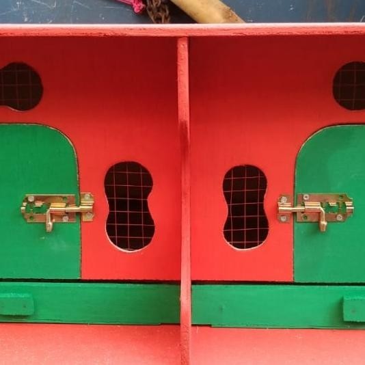 Kandang Burung Gupon Merpati