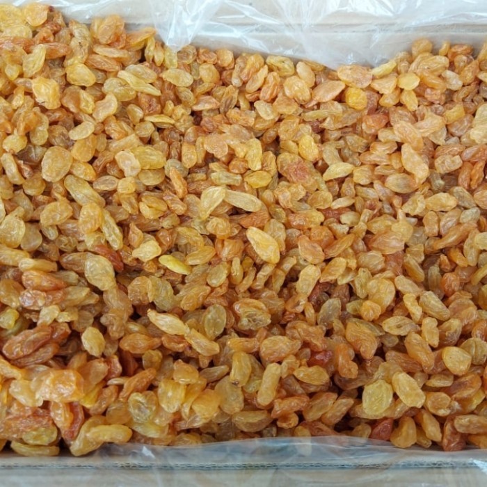 

PROMO Kismis Golden Raisin Kismis ASAM MANIS 1kg 1 kg 1000gr 1000 gr